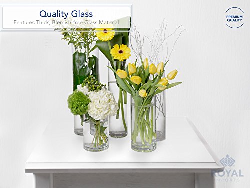 Royal Imports Flower Glass Vase Decorative Centerpiece for Home or Wedding - Cylinder Shape, 8" Tall, 6" Opening, Clear - size: 6" wide x 8" tall
