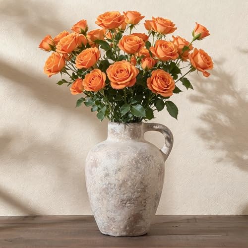 Ceramic Decorative Flower Vase with Handle,8.85 Inch Terracotta Rustic Farmhouse Vase for Home Decor,Living Room, Shelf Decor,Wedding,Housewarming Gift - color: Farmhouse-8.85in-3