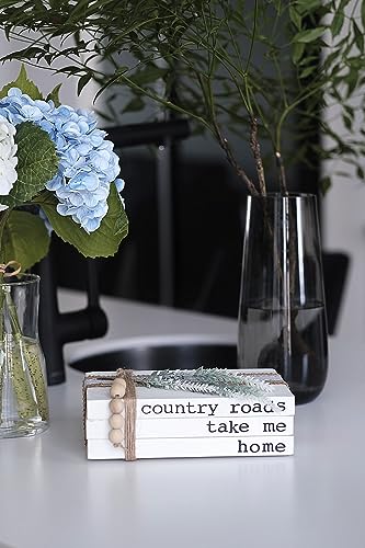Lavender Inspired Decorative Books for Home Decor | Boho Chic Distressed Faux Books Set of 3 for Fireplace Mantle & Entryway Table Decor - color: Country Roads, Take Me Home