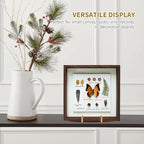 Plate Holder Easel Display Stand - 6 inch Metal Plate Stands for Display - Tabletop Picture Stand - Gold Iron Easels for Display Pictures | Photo Frames | Book | Decorative Plates | Plaque - 2 Pack - size: 6 inch-2