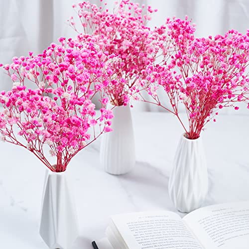 Preserved Baby's Breath 3 Bunches, 100% Natrual Fresh Gypsophila Long Lasting Flowers for Vase Arrangements Home Decoration Photo Props Parties and Weddings, DIY Décor-Pink - color: Pink