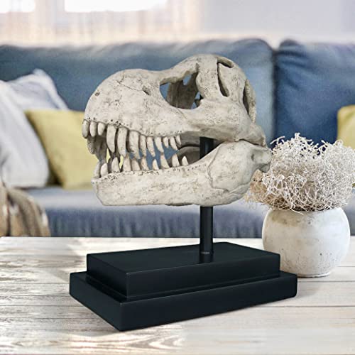 Design Toscano T-Rex Dinosaur Skull Fossil Statue on Museum Mount - style: T-Rex Dinosaur Skull