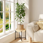 Bamworld Rattan Plant Stand Indoor Boho Plant Table for Large Plants Single Plant Stool Plant Holder for Living Room Bedroom