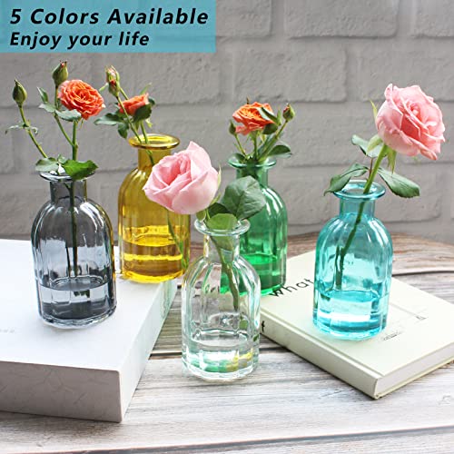 3 Sets Clear Glass Vase for Flowers Small Bud Vase for Decor, Bud Vases in Bulk for Centerpieces, Home Decorative Vase Set Round Vintage Glass Bottles, 2.85"X 5.4" - size: 3 Pcs