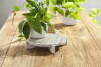 Mud Pie Marble Wood Pedestal, 2" x 8 1/2" dia