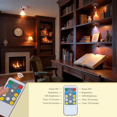 LED Spotlight Indoor,Rechargeable Battery Uplighting Indoor, Mini Accent Spot Lights for Plants Tree Wall Art Display Painting Artwork Portrait Dartboard Closet Gallery Photo-White 2Pack - color: White