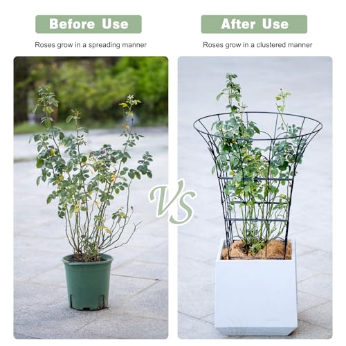 COOOXIM 27.5 x 22 Inches Peony Cages & Supports - Heavy Duty Metal Plant Obelisk Trellis for Outdoor Use, Perfect for Peonies, Roses, and Climbing Vines - Durable Garden Support Ring in M Shape - size: 27.5"x22"