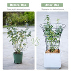 COOOXIM 27.5 x 22 Inches Peony Cages & Supports - Heavy Duty Metal Plant Obelisk Trellis for Outdoor Use, Perfect for Peonies, Roses, and Climbing Vines - Durable Garden Support Ring in M Shape - size: 27.5"x22"
