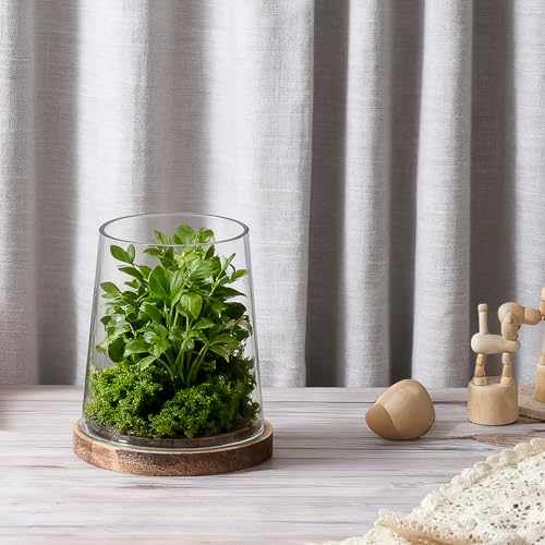 6" Wide Glass Hurricane Candle Holders with Handmade Sturdy Glass Sleeves and Vintage Natural Wood Base for Pillar Candle & Plants, Industrial, Farmhouse, Display Cloche Bell Jars, Table Centerpiece - color: Vintage Natural, size: 6"x7.5"