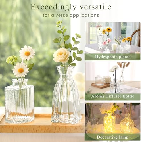 DomeStar 16PCS Glass Bud Vases Set, Small Clear Cylinder Vases for Plant Propagation Station Plant Terrarium, Vintage Clear Bud Vase in Bulk for Rustic Wedding Centerpieces Home Table Flower Decor