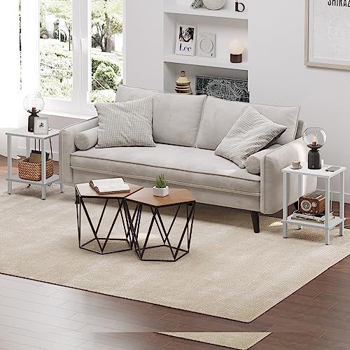 TUTOTAK End Table, Side Table, Nightstand, 2-Tier Storage Shelf, Sofa Side Table for Small Space, Living Room, Bed Room TB01BW034 - color: White