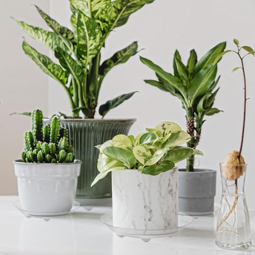 15 Pack Assorted Sizes 6 8 10 Inch Clear Thick Plastic Heavy Duty Sturdy Plant Saucer Drip Trays for pots, 5 Pieces of Each Size (Assorted Sizes 6'', 8'', 10'') - size: 6+8+10 INCH