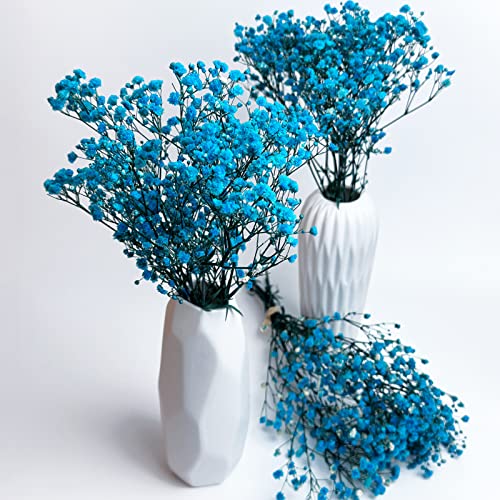 Preserved Baby's Breath 3 Bunches, 100% Natrual Fresh Gypsophila Long Lasting Flowers for Vase Arrangements Home Decoration Photo Props Parties and Weddings, DIY Décor-Light Blue - color: Light Blue