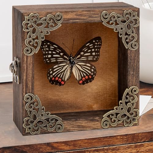 Real Taxidermy Butterfly Shadow Box - Framed Butterfly Taxidermy Meticulously Handcrafted, Goth Gifts Butterfly Decoration Box (Black-Veined Nymphalid (Nymphalidae)) - color: Black-veined Nymphalid (Nymphalidae)