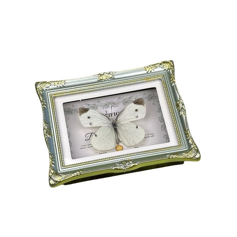 1Pcs Real Butterfly Framed Handmade, Taxidermy Butterfly Shadow Box Collection, Framed Butterfly Taxidermy for Oddities and Curiosities Gifts Tabletop Ornaments (C-Butterfly Specimen+Photo Frame) - color: C-butterfly Specimen+photo Frame