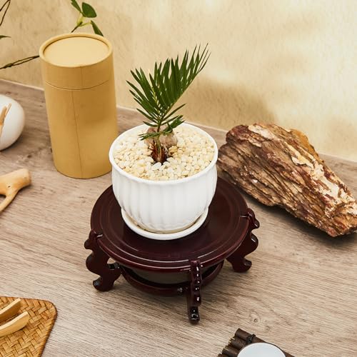 Geetery 2 Pcs 4 to 12 in Wooden Plant Stands Indoor Chinese Oriental Plant Stand for Vase Fishbowl Flower Pot Lamp Redwood Base Vintage Display Rack Decor(6 Inch) - size: 6 Inch