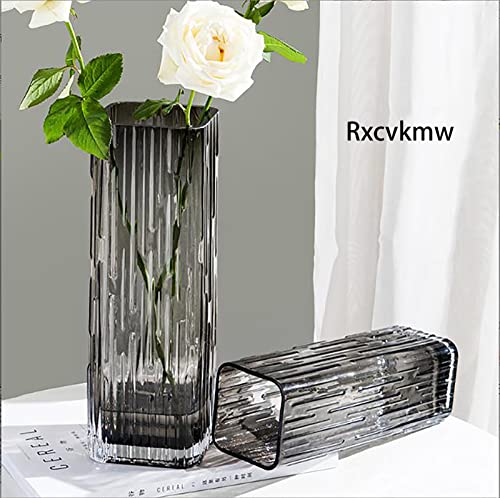 Modern Minimalist Glass Square vase, Crystal Glass vase, vase, Dry vase (Grey) - color: Gray