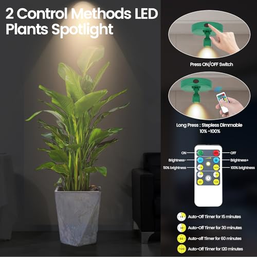 HAMVIDNE LED Spotlight, Rechargeable Battery Picture Lights, Uplighting Indoor, Spot Light with Remote, Plant Tree & Wall Art Display Dartboard Closet Spotlight-Green - color: Chargeable Green, size: 2 Pack