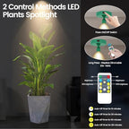 HAMVIDNE LED Spotlight, Rechargeable Battery Picture Lights, Uplighting Indoor, Spot Light with Remote, Plant Tree & Wall Art Display Dartboard Closet Spotlight-Green - color: Chargeable Green, size: 2 Pack
