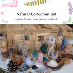 6Pcs Mystery Natural Oddities Collection Box - Real Fossils, Crystals & Taxidermy in Glass Vials | Dark Academia Decor for Adults & Kids | Witchy Curio Cabinet Decor | Unique Gifts for Science Lovers - style: 6Pcs
