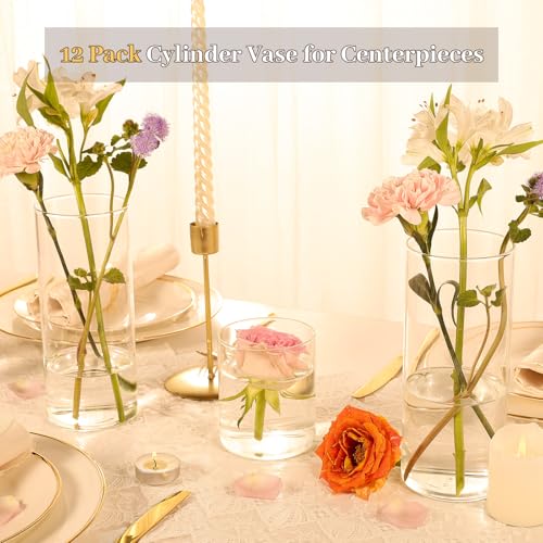 TBWIND 12Pcs Glass Cylinder Vases 8 Inch Tall Clear Flower Vases for Centerpieces Wedding Decoration, Hurricane Floating Candle Holder for Party Table Home Decor - size: 12 Pack 8 Inch