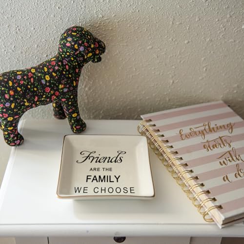 HOME SMILE Birthday Christmas Funny Gifts for Best Friend-Ceramic Ring Dish Jewelry Tray－Friends are Family We Choose - style: Friends Are The Family We Choose