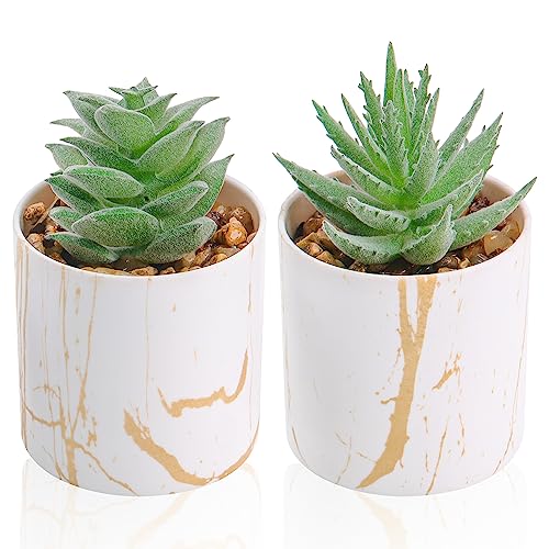 Der Rose Set of 2 Succulents Plants Artificial Mini Fake Succulents Plants for Home Office Desk Accessories for Women - color: 2-green