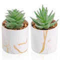 Der Rose Set of 2 Succulents Plants Artificial Mini Fake Succulents Plants for Home Office Desk Accessories for Women - color: 2-green