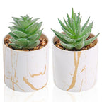 Der Rose Set of 2 Succulents Plants Artificial Mini Fake Succulents Plants for Home Office Desk Accessories for Women - color: 2-green