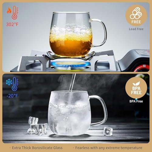 DOPUDO Large Glass Tea Cup, 34 oz Borosilicate Glass Tea Mug with Infuser and Lid, 1000ML Clear Tea Cups for Brewing Scented Tea and Tea Bag. - size: 34 Ounces