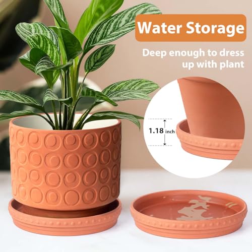 YBX 8-inch Plant Saucer Premium Terracotta Saucer Round Ceramic Plant Trays, Pack of 2 (Nature/Terracotta) - color: Terracotta