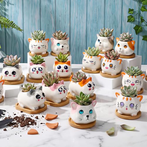 Cindeer 18 Pcs 2.5 Inch Cat Ceramic Succulent Planter Pots – Cute Cat Small Pots with Drainage Hole and Bamboo Tray for Succulents, Cactus, Home Garden Office Desk Decoration Gift Ideas - style: Cat