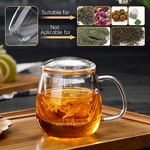 DOPUDO Glass Tea Cup with Infuser and Lid, 17.6oz/520ml Large Borosilicate Teacup,Tea Glass, Clear Mug for Loose Leaf Tea, Blooming Tea, Microwave & Dishwasher Safe - Tea Maker Gift for Birthday. - size: 1 Count (Pack of 1)