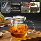 DOPUDO Glass Tea Cup with Infuser and Lid, 17.6oz/520ml Large Borosilicate Teacup,Tea Glass, Clear Mug for Loose Leaf Tea, Blooming Tea, Microwave & Dishwasher Safe - Tea Maker Gift for Birthday. - size: 1 Count (Pack of 1)