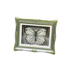1Pcs Real Butterfly Framed Handmade, Taxidermy Butterfly Shadow Box Collection, Framed Butterfly Taxidermy for Oddities and Curiosities Gifts Tabletop Ornaments (M-Butterfly Specimen+Photo Frame) - color: M-butterfly Specimen+photo Frame