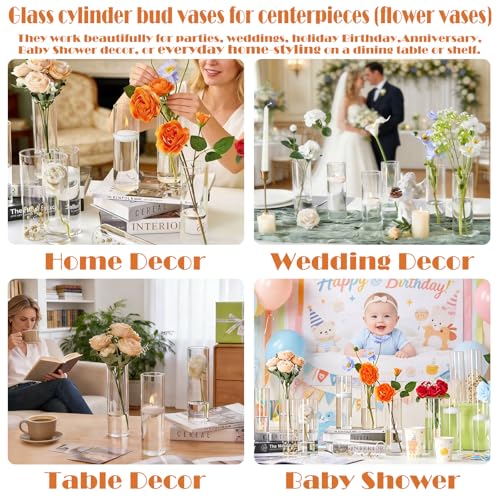 16Pcs Glass Cylinder Bud Vases for Centerpieces,7.7 In Tall Clear Flower Vases in Bulk,Glass Small Vases Floating Candle Holder for Party,Home Decor,Wedding Decoration,Birthday,Anniversary,Baby Shower
