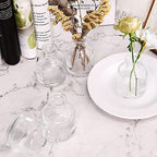 12Pcs Bud Vases,Clear Glass Bud Vase,Living Bud Vases Bulk,Mini Flower Vases,Small Vases for Flowers Centerpieces Home Living Room Office Table Decor (2 x 2.8 in)