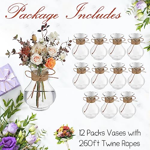 Bokon 5.7" Plastic Small Vases for Centerpieces, Plastic Bud Vase Bulk, Hyacinth Avocado Growing Vases, Tiny Flower Bulb Plant Propagation Containers for Wedding Living Room Table Decorations(12 Pcs)