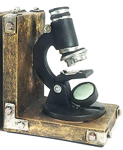 Bellaa 22731 Decorative Bookend Scientist Book Ends Support Bookshelves Science Gift Heavy Duty Non Skid Gold Home Decor 6 Inches
