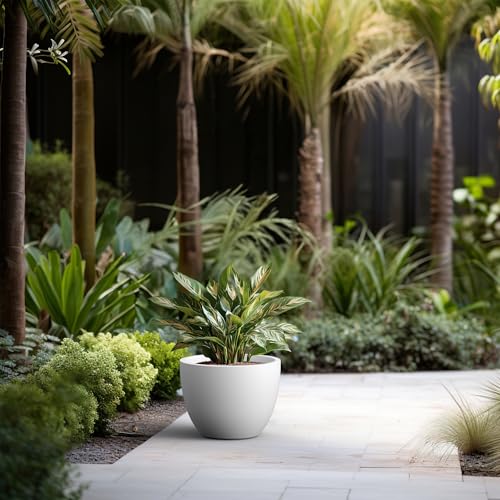 Kante 14.2 Inch Round Concrete Planter - Classic Large Indoor/Outdoor Plant Pot with Drainage Hole and Rubber Plug, Suitable for Gardens and Patios, White - color: White, size: 14.2"Dia x 10.6"H