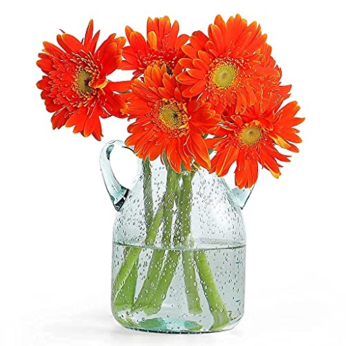 MDLUU Seeded Glass Vase, 4.6" W x 6.7" H, Clear, Double Ear Design, Coastal Modern Style, Perfect for Dining Room, Bedroom, Bathroom - size: 7" Tall
