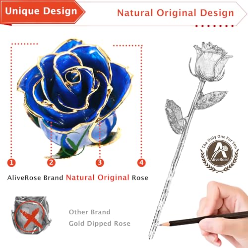 AliveRose Dipped 24k Gold Rose, 24K Gold Rose Made from Real Rose - Unique Design 24K Dipped Rose for Anniversary Valentines Mothers Day Birthday Gifts (Blue Original Rose with Crystal Vase) - color: 2. Blue Original Rose With Crystal Vase