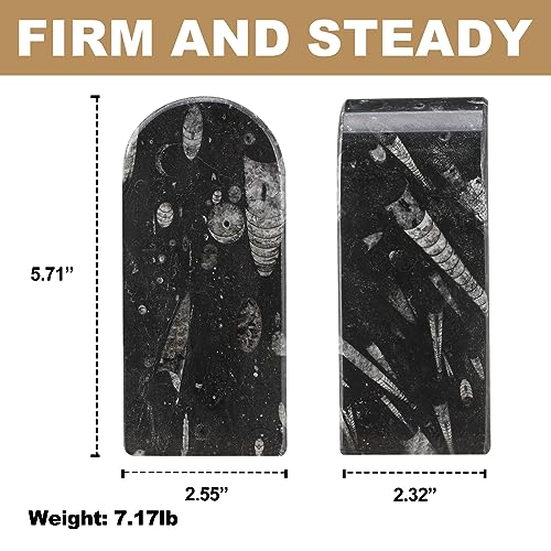 Koville Moroccan Natural Marble Bookends for Shelves, Decorative Book Ends, 7lbs Heavy-Duty Marble Book Holders, Bookshelf Apartment Decor for Normal Books/CD/Video Games(Black Fossil) - color: Black Marble-black Fossil, size: 7lb