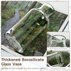 Clear Glass Vase, 3.5x7.6inch Glass Flower Vase for Plants, Wide Mouth Vase for Home, Wedding, Living Room, Dining Table - size: 3.5"Wx7.6"H