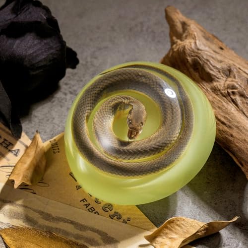 Real Snake Specimen in Dome Resin - Naturally Deceased Snake with Glow-in-the-Dark Effect, Perfect for Science Education, Oddities Collectors, and Biology Enthusiasts (3.5 x 1.6 Inches) - color: Snake Specimen (3.5" X 1.6")