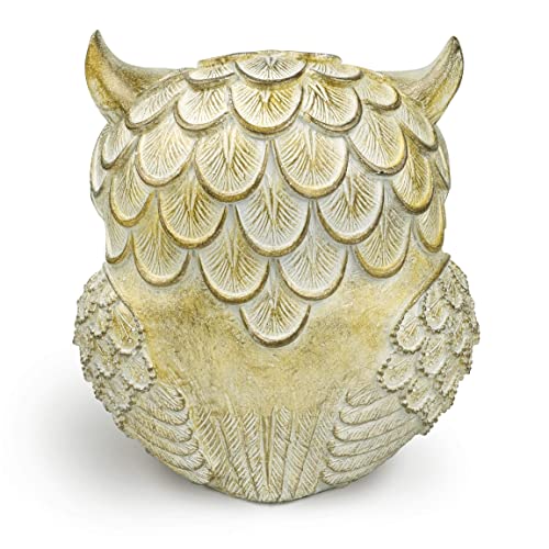 Garwor Retro Owl Statue for Home Decor, 6" Antique White Resin Owl Figurine with Artistic Raised Feathers, Cute Bird Sculpture for Bookshelf Mantle Tabletop Decoration, Gift for Owl Lovers - color: Antique White, size: Medium