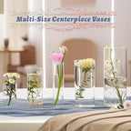 5pcs Glass Vase Cylinder Vases for Centerpieces Small Flower Glass Vases Home Decor Centerpiece Table Clear Flower Vase Decorations for Wedding＆Holiday 4,6,7.5,8,10 Inch Tall - size: 5Pack-4+6+7.5+8+10Inches