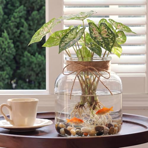 Houmury Glass Vases for Centerpieces 6 Inch Clear Large Vase Farmhouse Utensils Holder with Twine Ties Home Decor for Wedding Living Room Kitchen Dining Table Office (1)