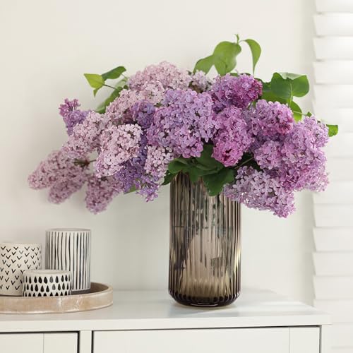8 Inch Tall Ribbed Glass Vases for Flowers-Thick Amber Glass Flower Vase for Centerpieces Table, Shelves, Decorative Cylinder Vase for Home Decor, Living Room, Dining Room, Bathroom Vanity - color: Amber, size: Small - 8''H