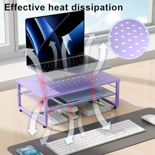 gianotter 2-Tier Metal Monitor Stand Riser, Office Desk Storage Organizer for Computer Monitor, Laptop, Printer, Office Supplies (Purple) - color: Purple